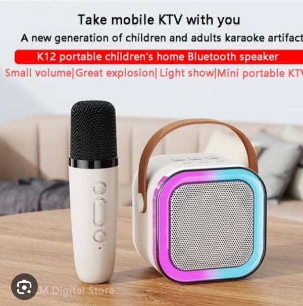K12 Wireless Bluetooth Karaoke Speaker with Microphone | Portable Stereo Audio Speaker & Mic Combo (Random Color)